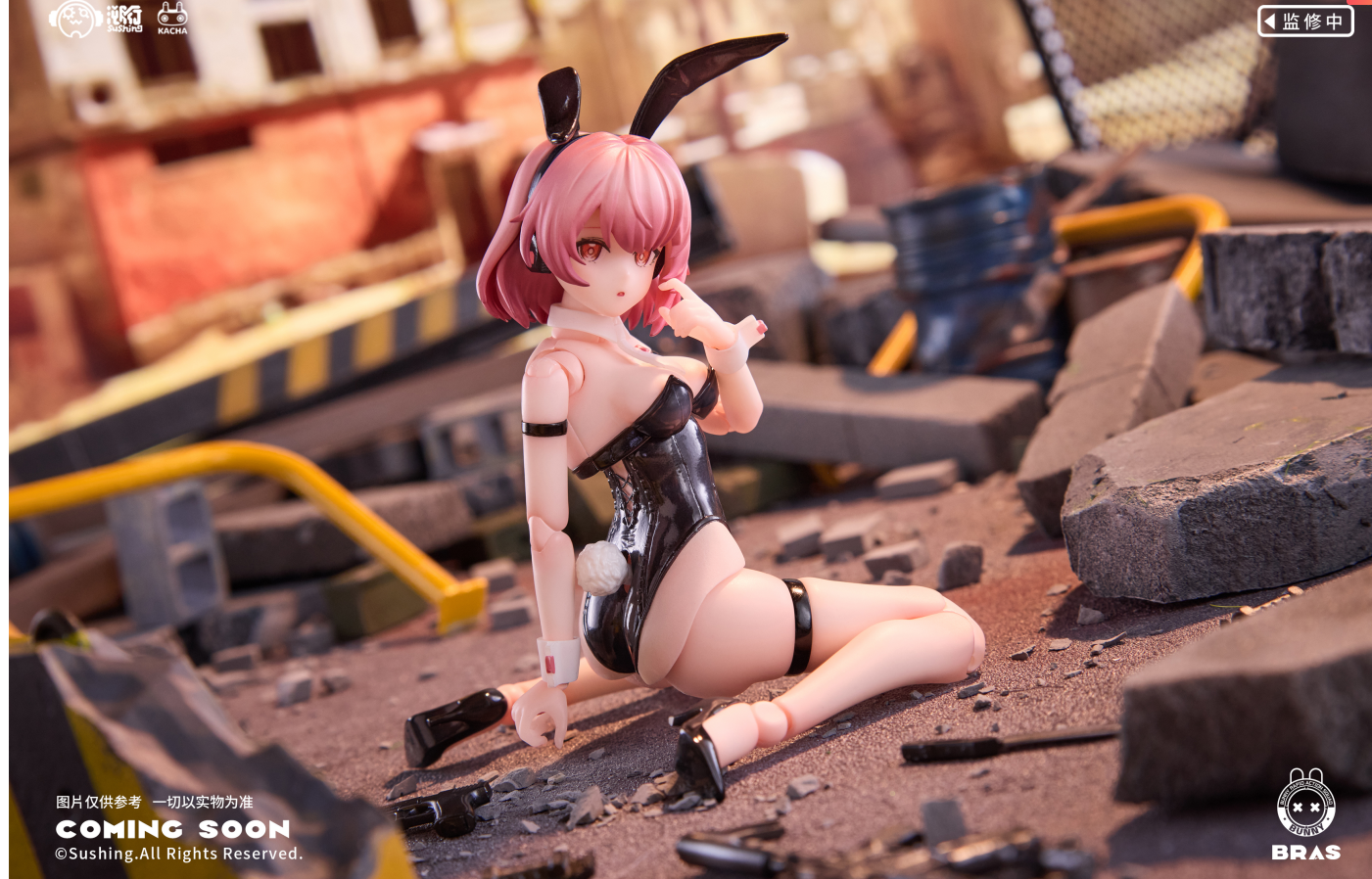 【 Pre-sale 】 "Assault Soldier • BELKA" SuShing