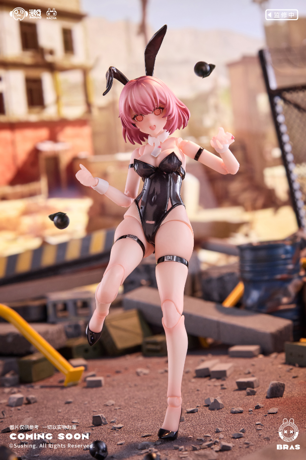 【 Pre-sale 】 "Assault Soldier • BELKA" SuShing