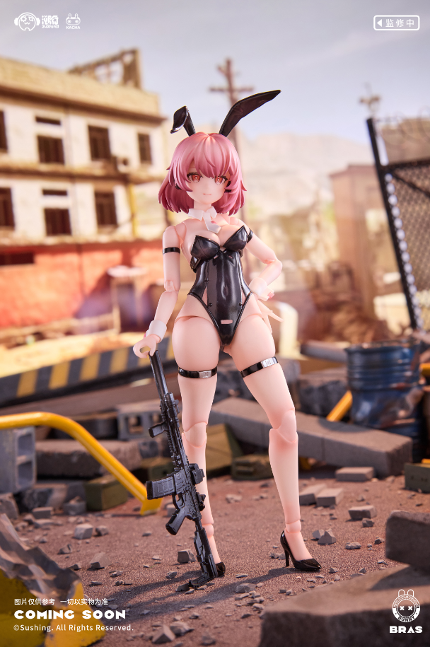 【 Pre-sale 】 "Assault Soldier • BELKA" SuShing