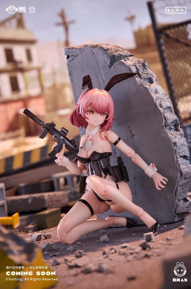 【 Pre-sale 】 "Assault Soldier • BELKA" SuShing