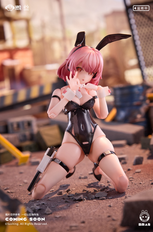 【 Pre-sale 】 "Assault Soldier • BELKA" SuShing