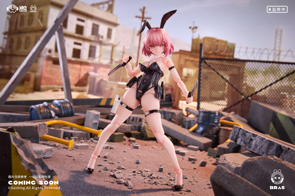 【 Pre-sale 】 "Assault Soldier • BELKA" SuShing