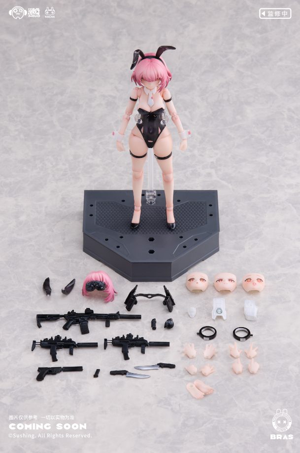 【 Pre-sale 】 "Assault Soldier • BELKA" SuShing