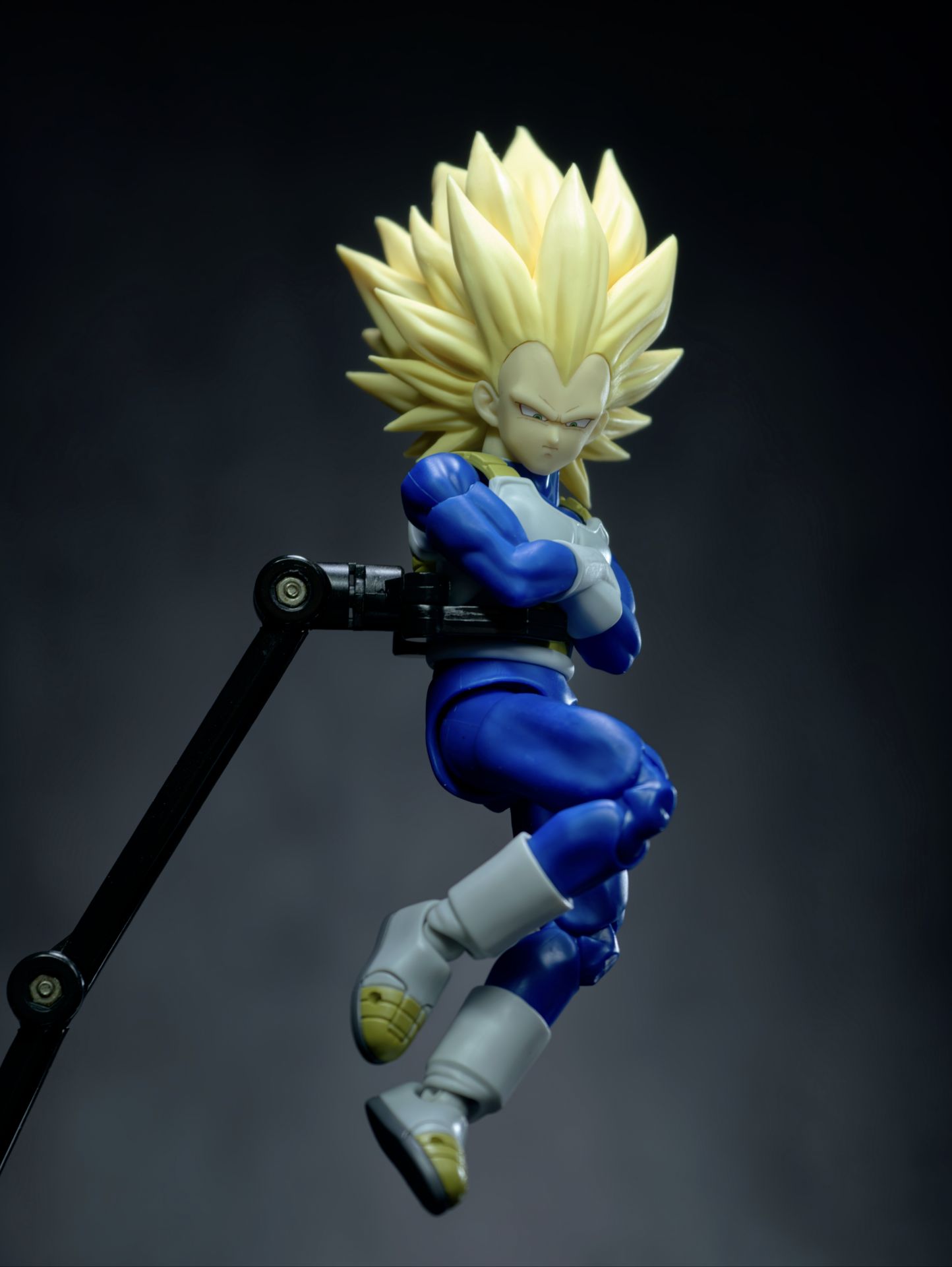 【In Stock】Dragon Ball Third Party Figures GM Vegeta Head Sculpted bag