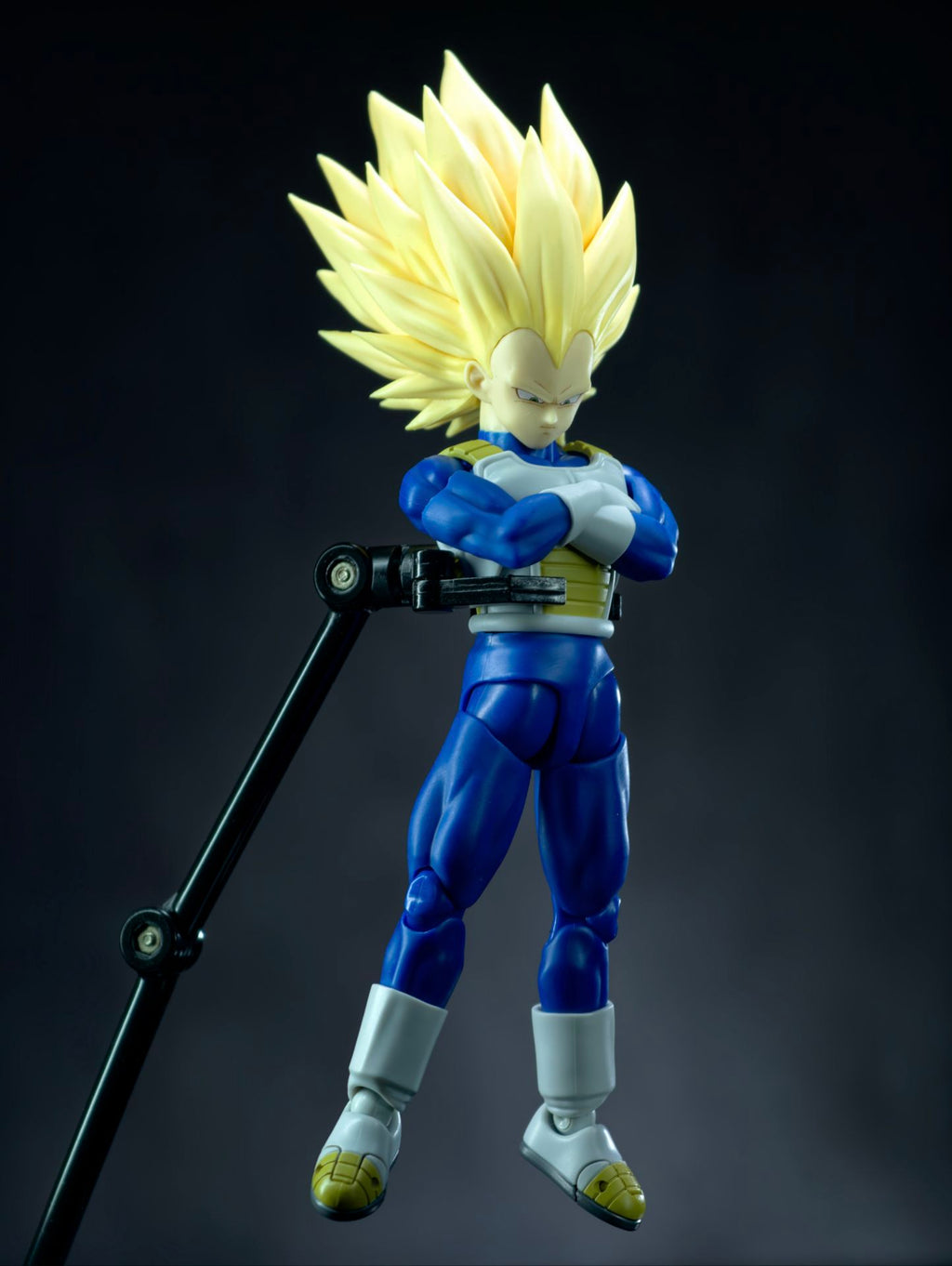 【In Stock】Dragon Ball Third Party Figures GM Vegeta Head Sculpted bag