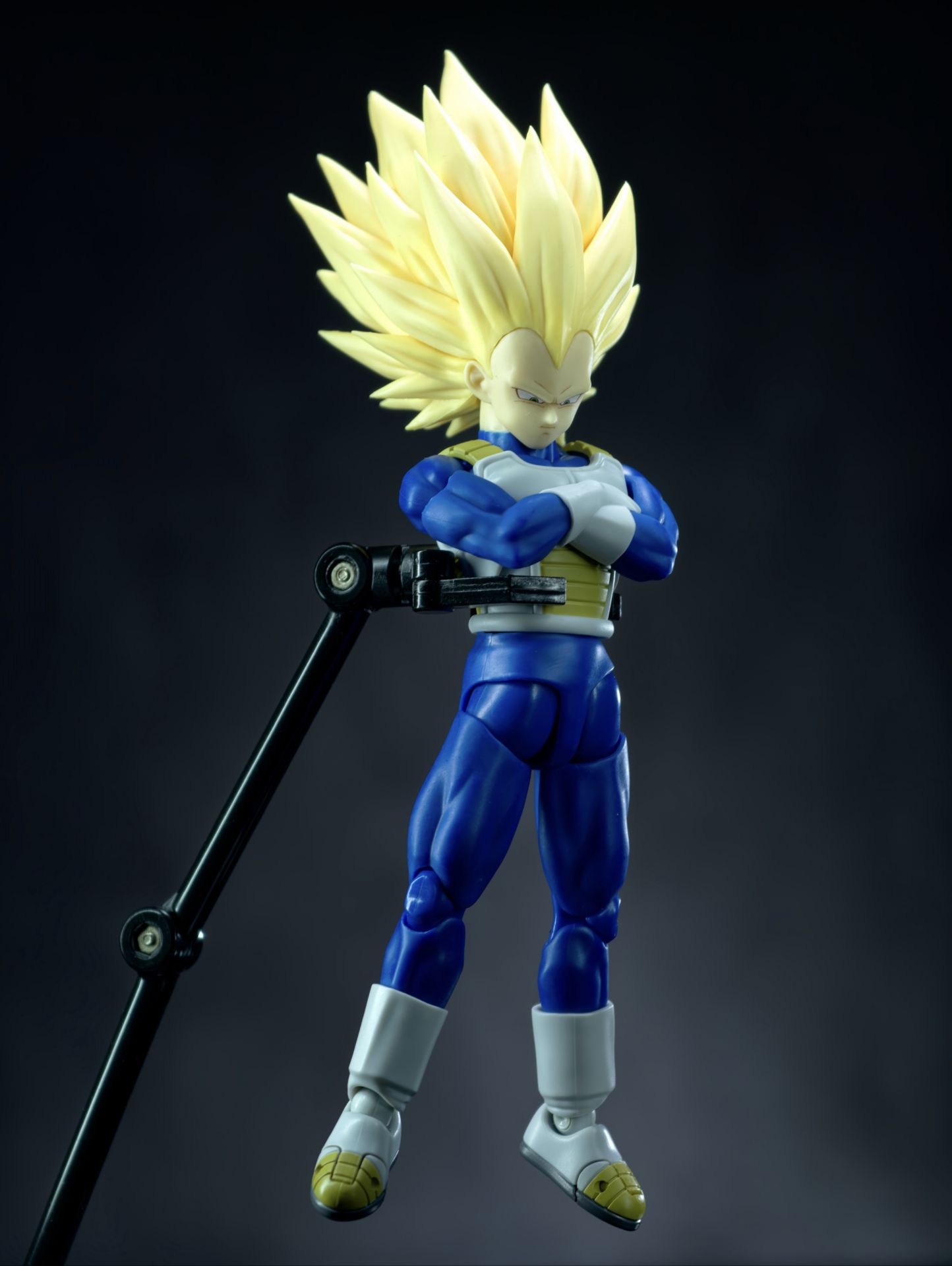 【In Stock】Dragon Ball Third Party Figures GM Vegeta Head Sculpted bag