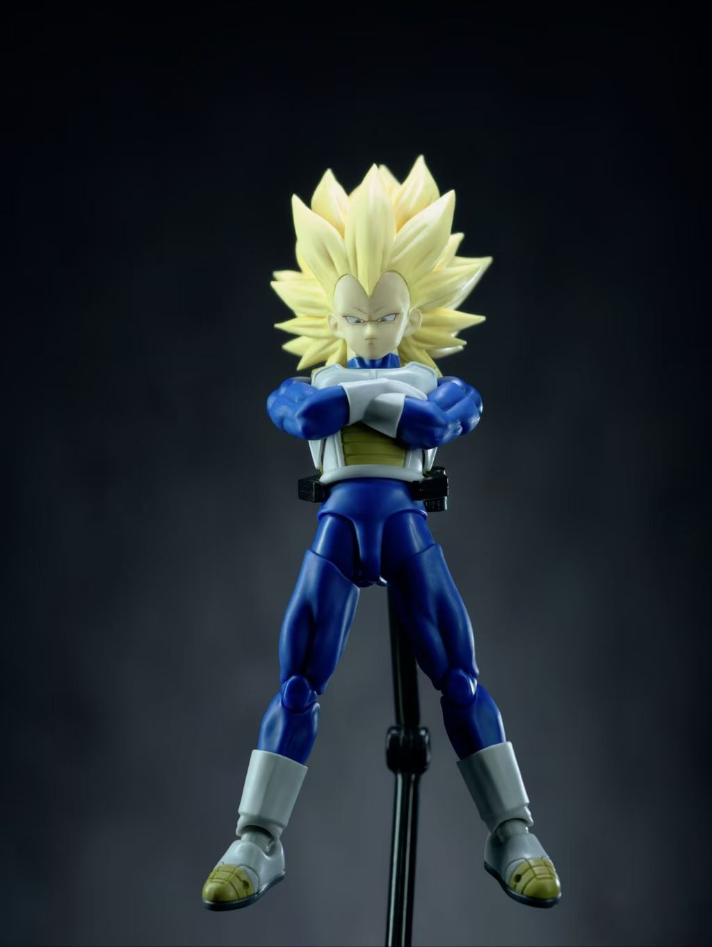 【In Stock】Dragon Ball Third Party Figures GM Vegeta Head Sculpted bag