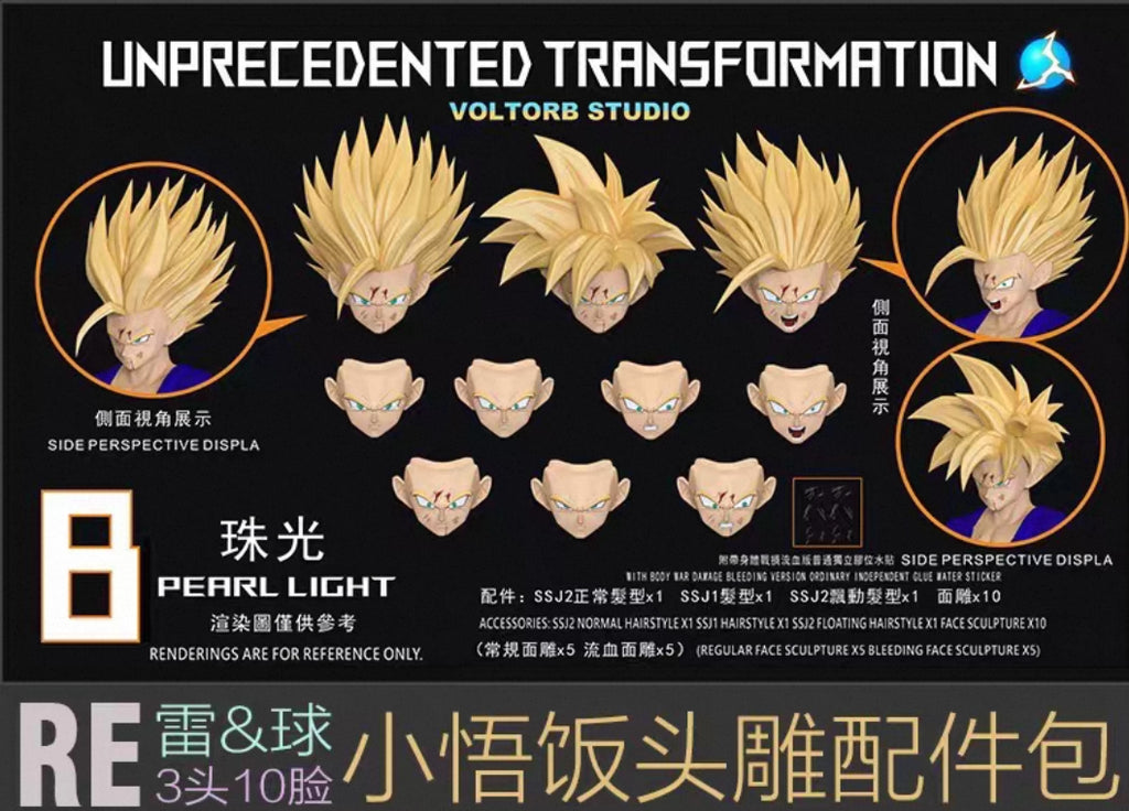 【Pre Order】Re teenager Gohan head sculpt bag