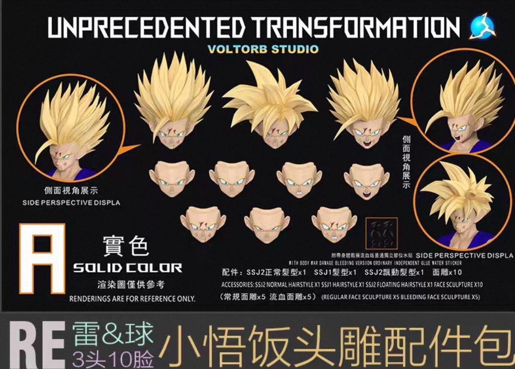 【Pre Order】Re teenager Gohan head sculpt bag