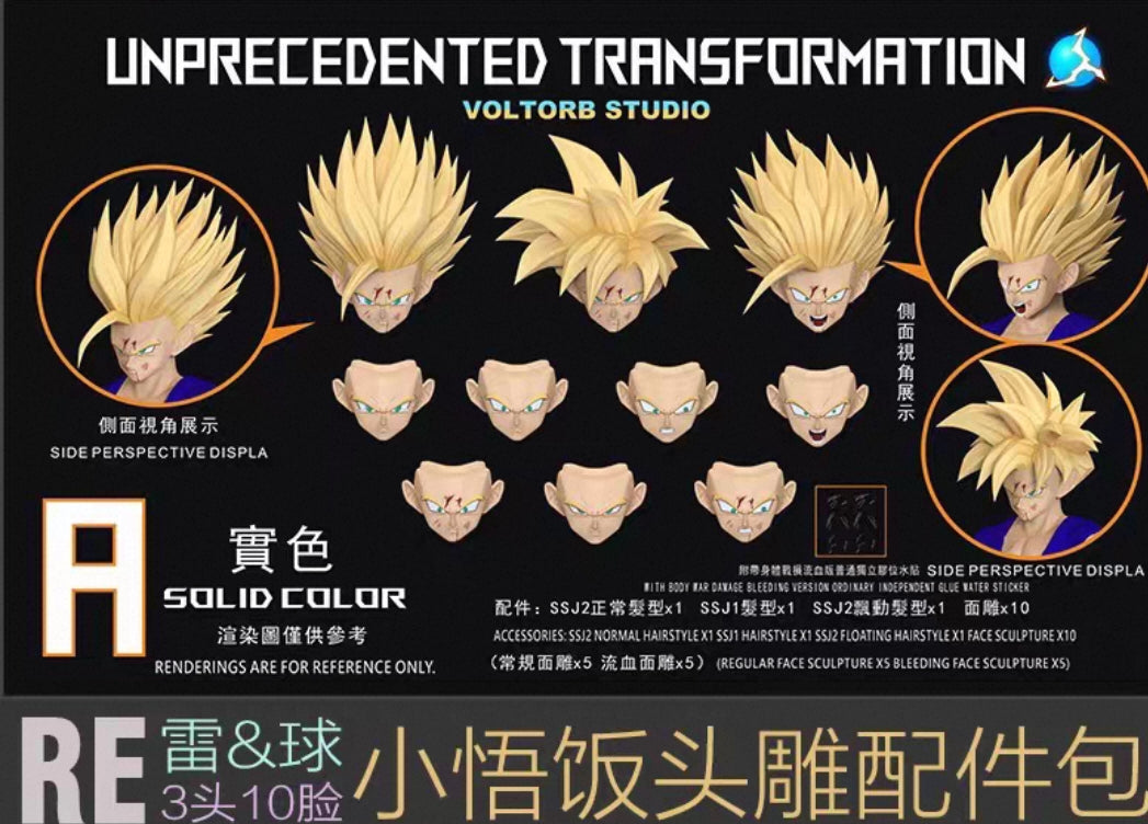 【Pre Order】Re teenager Gohan head sculpt bag