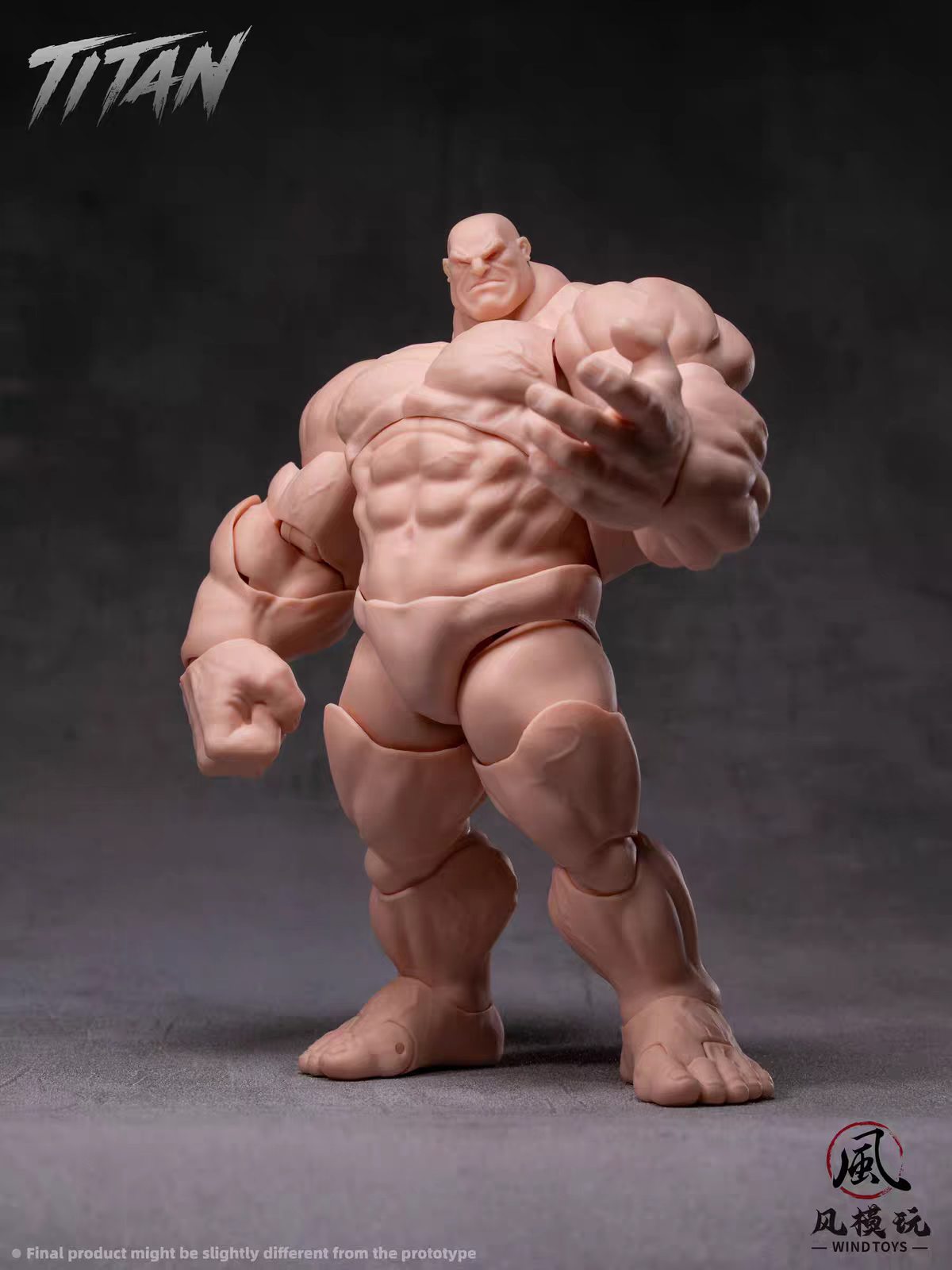 [Pre-order] Wind Toys Titan 1/12 Scale Super Articulated Muscle Body Figure